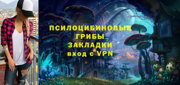 соль курить ск Новодвинск