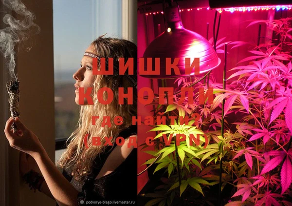 герыч Новозыбков