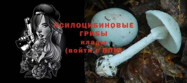 герыч Новозыбков