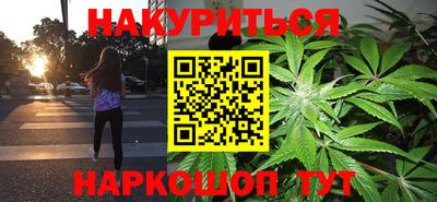 прущие грибы Апшеронск