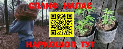 прущие грибы Апшеронск