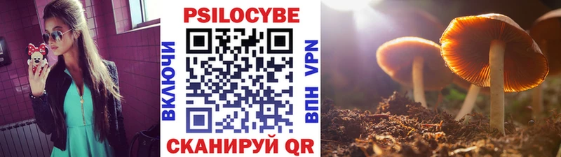 продажа наркотиков  Калач-на-Дону  Псилоцибиновые грибы Magic Shrooms 