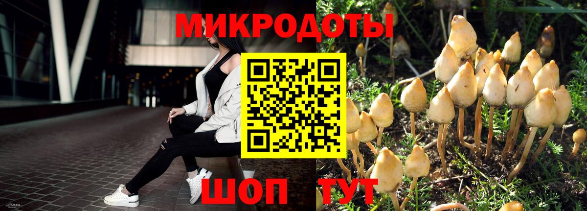Калач-на-Дону  Псилоцибиновые грибы ЛСД  купить   Вход с VPN 